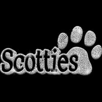 GLT17 SILVER GLITTER Thumbnail