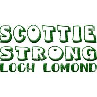 GLT97 GREEN GLITTER Thumbnail